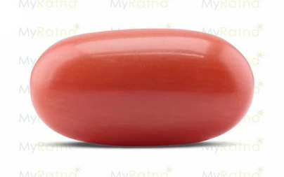 Red Coral - CC 5631 (Origin - Italy) Limited - Quality