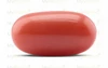 Red Coral - CC 5631 (Origin - Italy) Limited - Quality