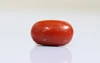 Red Coral - CC 5661 (Origin - Italy) Limited - Quality