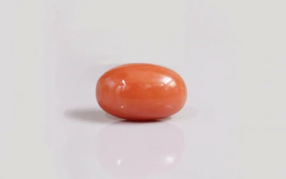 Red Coral - CC 5707 (Origin - Italy) Rare - Quality