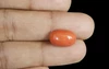 Red Coral - CC 5707 (Origin - Italy) Rare - Quality