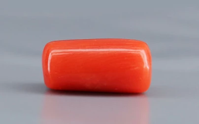 Red Coral - 3.91 Carat Limited - Quality CC 5713