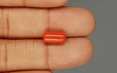 Red Coral - 3.91 Carat Limited - Quality CC 5713