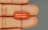 Red Coral - 11.74 Carat Limited - Quality CC 5715