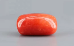 Red Coral - 11.52 Carat Rare - Quality CC 5719