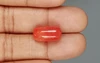 Red Coral - 11.52 Carat Rare - Quality CC 5719