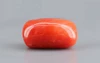 Red Coral - 11.52 Carat Rare - Quality CC 5719