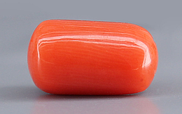 Italian Red Coral - 4.63 Carat Limited Quality CC-5730