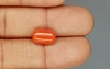 Red Coral - 3.95 Carat Limited - Quality CC 5739