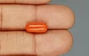 Red Coral - 3.69 Carat Limited - Quality CC 5741