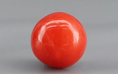 Red Coral - 1.79 Carat Limited - Quality CC 5750