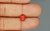 Red Coral - 1.79 Carat Limited - Quality CC 5750