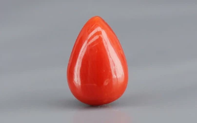 Red Coral - 1.84 Carat Limited - Quality CC 5751