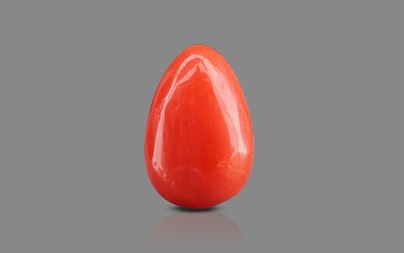 Red Coral - 1.54 Carat Limited - Quality CC 5755