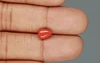 Red Coral - 1.54 Carat Limited - Quality CC 5755