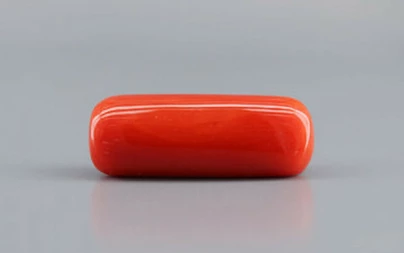 Italian Red Coral - 8.82 Carat Prime  Quality CC-5759