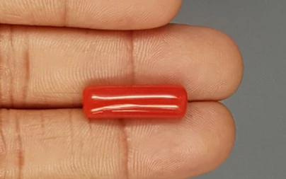 Italian Red Coral - 8.93 Carat Prime  Quality CC-5766