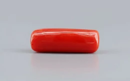 Italian Red Coral - 7.74 Carat Prime  Quality CC-5771