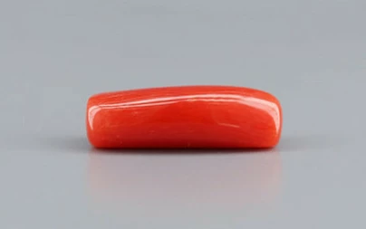 Italian Red Coral - 6.93 Carat Prime  Quality CC-5774