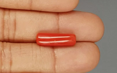 Italian Red Coral - 6.93 Carat Prime  Quality CC-5774