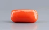 Italian Red Coral - 18.28 Carat Limited-Quality CC-5786