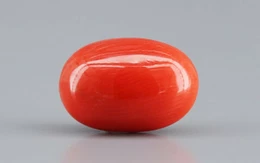 Italian Red Coral - 4.19 Carat Limited-Quality CC-5791