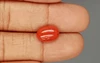 Italian Red Coral - 4.19 Carat Limited-Quality CC-5791