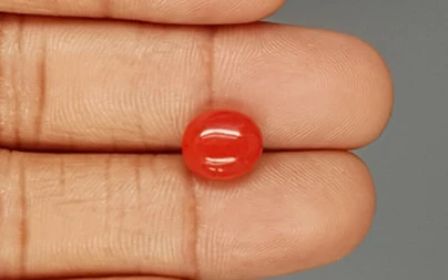 Italian Red Coral - 3.97 Carat Limited-Quality CC-5794