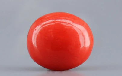 Italian Red Coral - 3.97 Carat Limited-Quality CC-5794