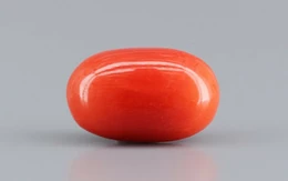 Italian Red Coral - 3.94 Carat Limited-Quality CC-5797