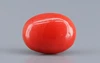 Italian Red Coral - 3.23 Carat Limited-Quality CC-5805