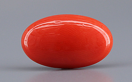 Italian Red Coral - 4.23 Carat Limited-Quality CC-5810