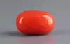 Italian Red Coral - 5.65 Carat Rare-Quality CC-5816