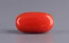 Italian Red Coral - 5.09 Carat Rare-Quality CC-5830