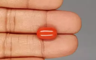 Italian Red Coral - 5.96 Carat Rare Quality CC-5839