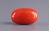 Italian Red Coral - 5.96 Carat Rare Quality CC-5839