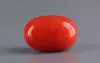 Italian Red Coral - 5.45 Carat Rare Quality CC-5849