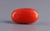 Italian Red Coral - 4.07 Carat Limited Quality CC-5850