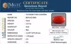 Italian Red Coral - 4.07 Carat Limited Quality CC-5850