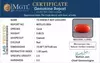 Italian Red Coral - 5.68 Carat Limited Quality CC-5854