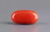 Italian Red Coral - 5.68 Carat Limited Quality CC-5854