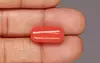 Italian Red Coral - 11.91 Carat Prime Quality CC-5857