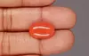 Italian Red Coral - 7.02 Carat Rare Quality CC-5866