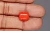 Italian Red Coral - 6.98 Carat Rare Quality CC-5867