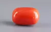 Italian Red Coral - 15.11 Carat Rare Quality CC-5877