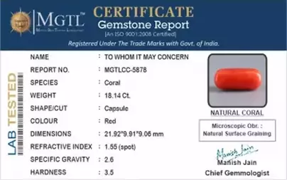 Italian Red Coral - 18.14 Carat Limited Quality CC-5878