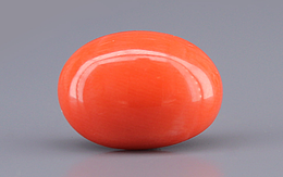 Japanese Red Coral - 5.42 Carat Rare Quality CC-5901