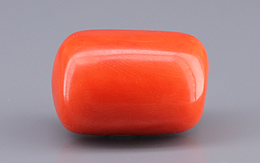 Italian Red Coral - 22.59 Carat Limited Quality CC-5906