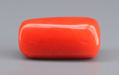 Italian Red Coral - 17.53 Carat Prime Quality CC-5907