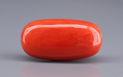 Italian Red Coral - 17.65 Carat Rare Quality CC-5911